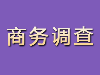 烟台商务调查